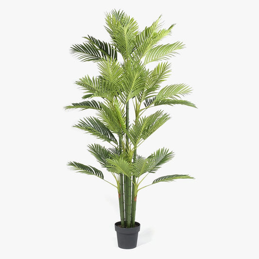 Planta Artificial Palmeira de Areca 170cm PALM - Gato Preto