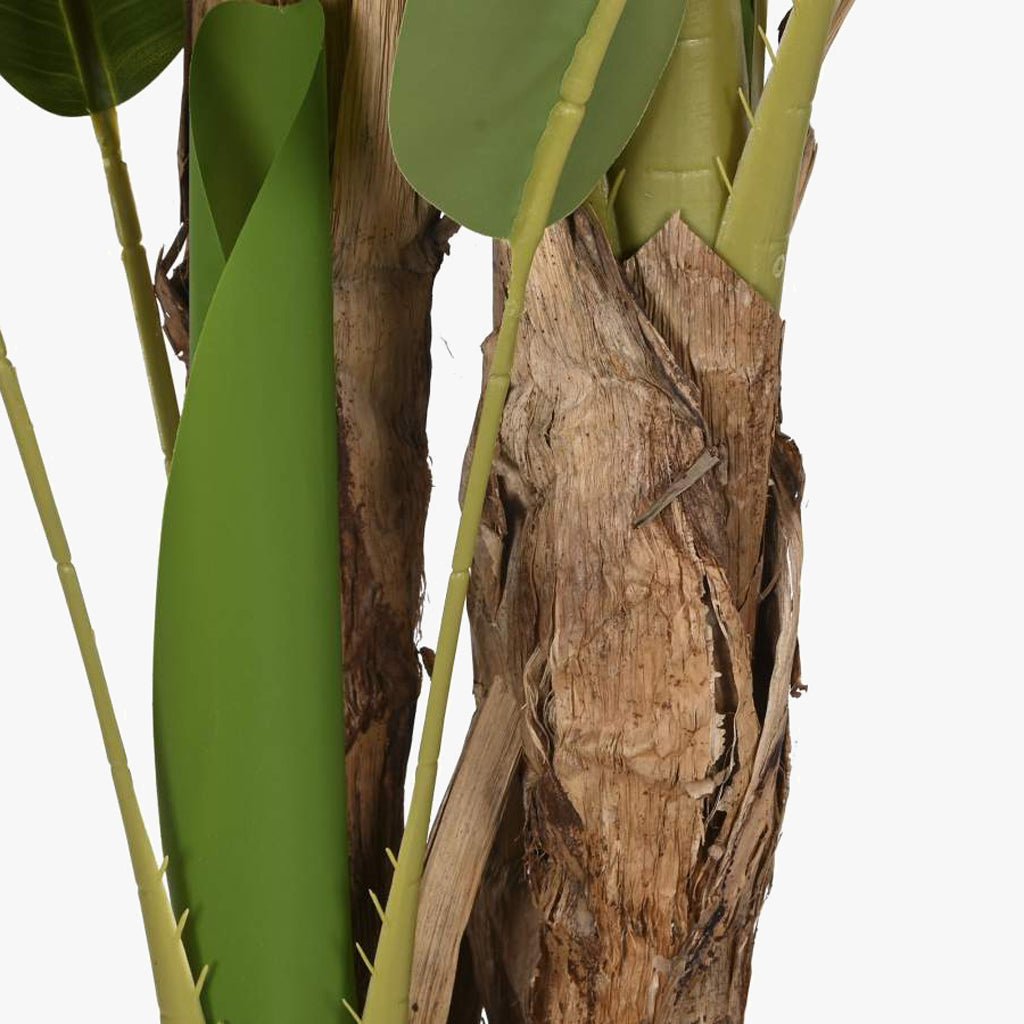 Planta Bananeira 290cm EVERLEAF - Gato Preto