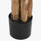 Planta Bananeira 290cm EVERLEAF - Gato Preto