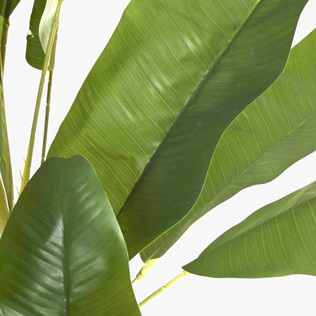 Planta Bananeira 290cm EVERLEAF - Gato Preto
