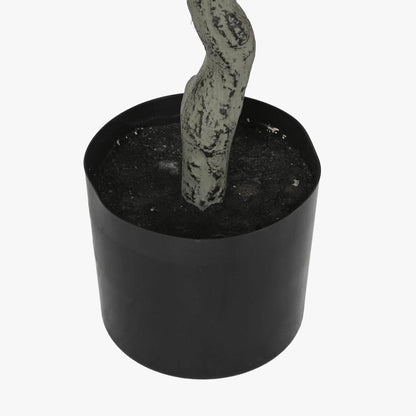 Planta de Eucalipto 220cm EVERLEAF - Gato Preto