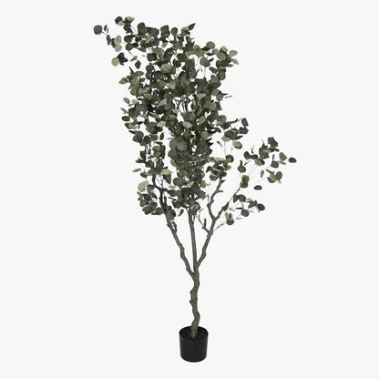 Planta de Eucalipto 220cm EVERLEAF - Gato Preto