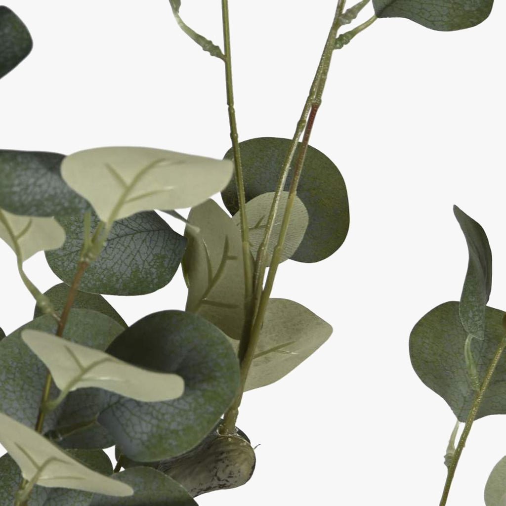 Planta de Eucalipto 220cm EVERLEAF - Gato Preto