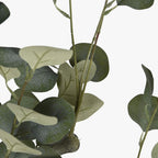 Planta de Eucalipto 220cm EVERLEAF - Gato Preto