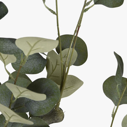 Planta de Eucalipto 220cm EVERLEAF - Gato Preto