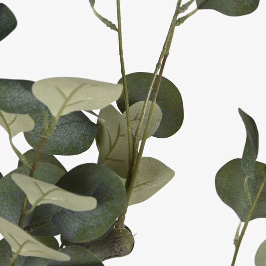 Planta de Eucalipto 220cm EVERLEAF - Gato Preto