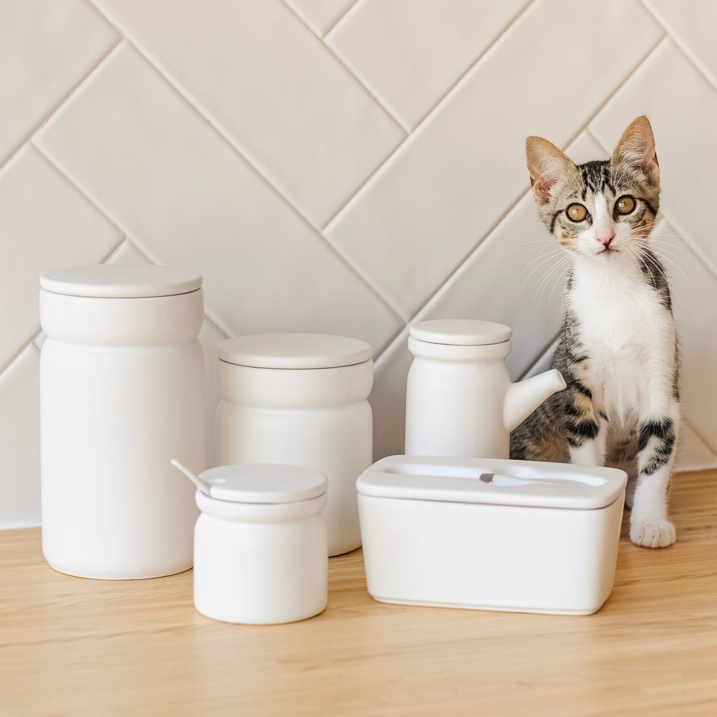 Pote grande branco ALL WHITE - Gato Preto