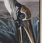 Quadro Garça 2A - Gato Preto
