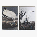 Quadro Garça 2A - Gato Preto