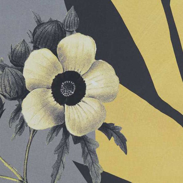 Quadro Natureza Botânica 2A - Gato Preto