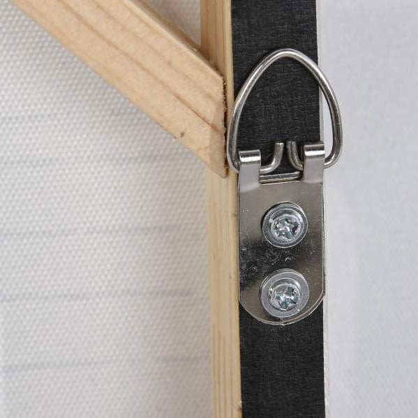 Quadro Orgânico 2A - Gato Preto