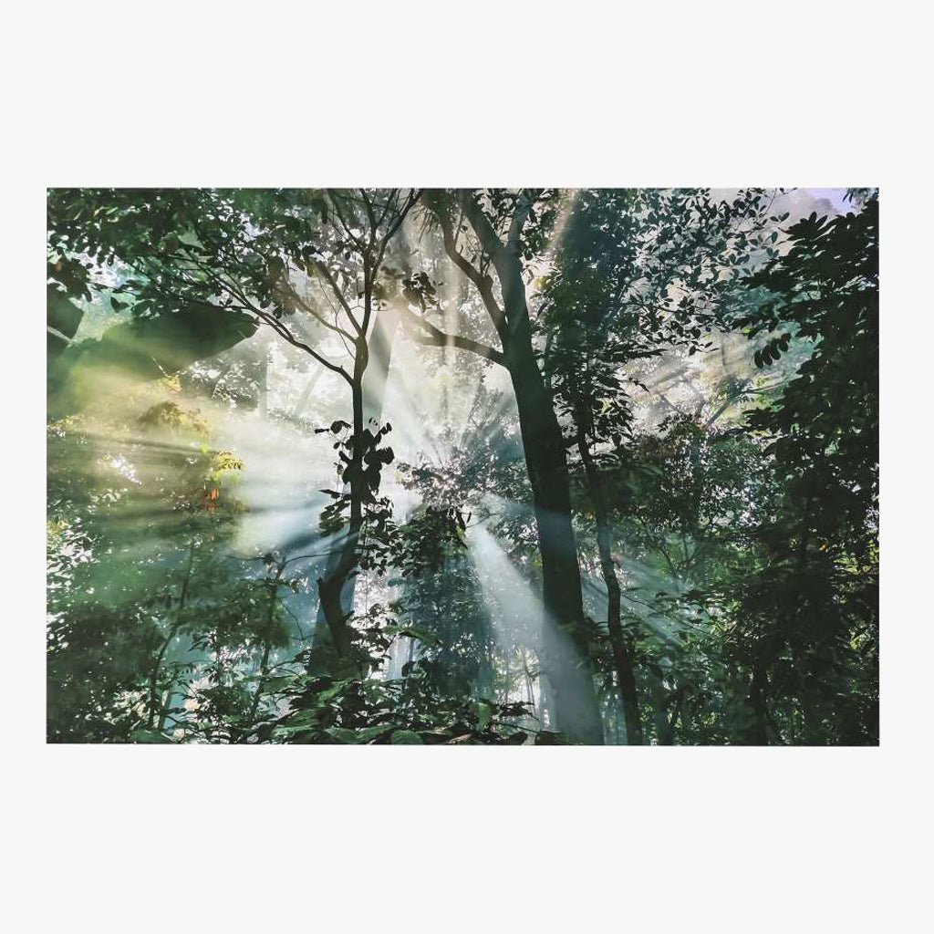 Quadro Vidro Arvores 150x100 - Gato Preto