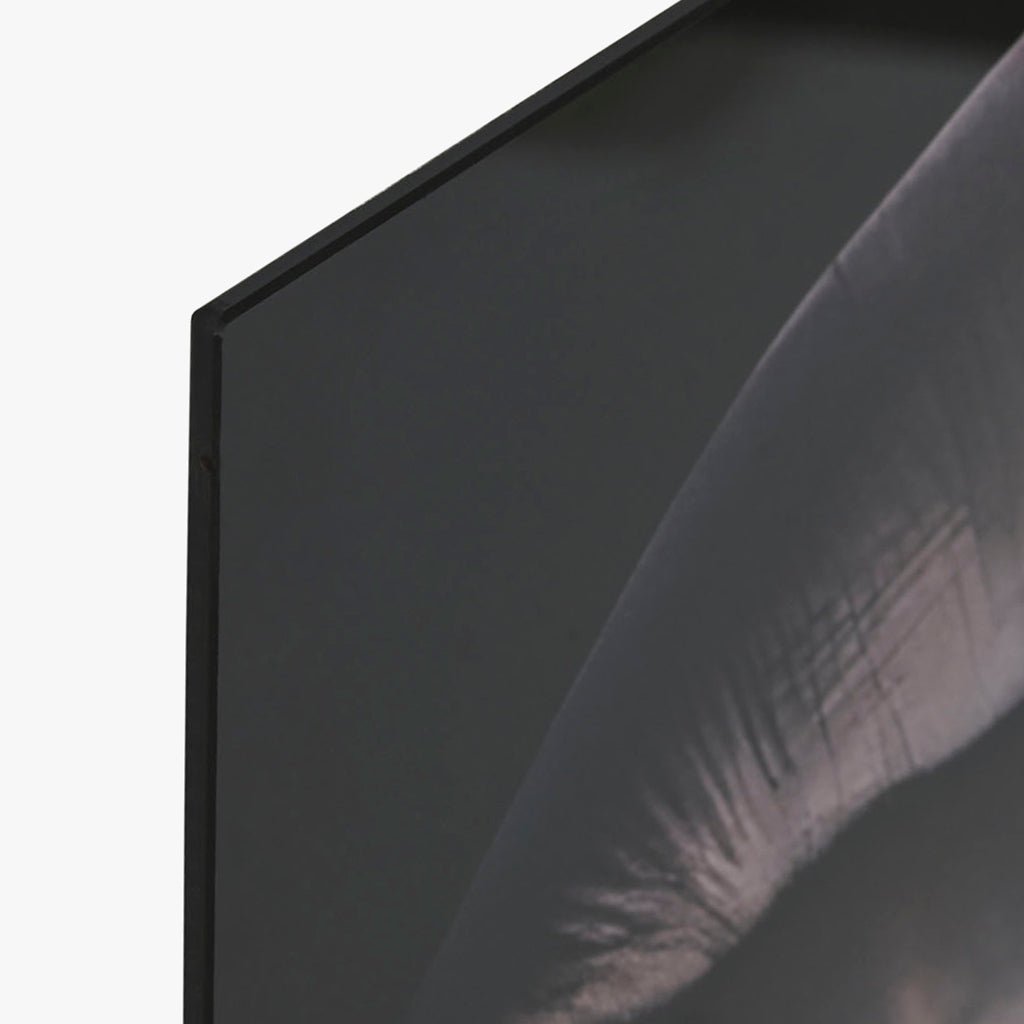 Quadro Vidro Elefantes 150x100 - Gato Preto