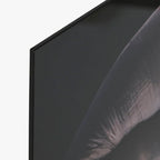 Quadro Vidro Elefantes 150x100 - Gato Preto