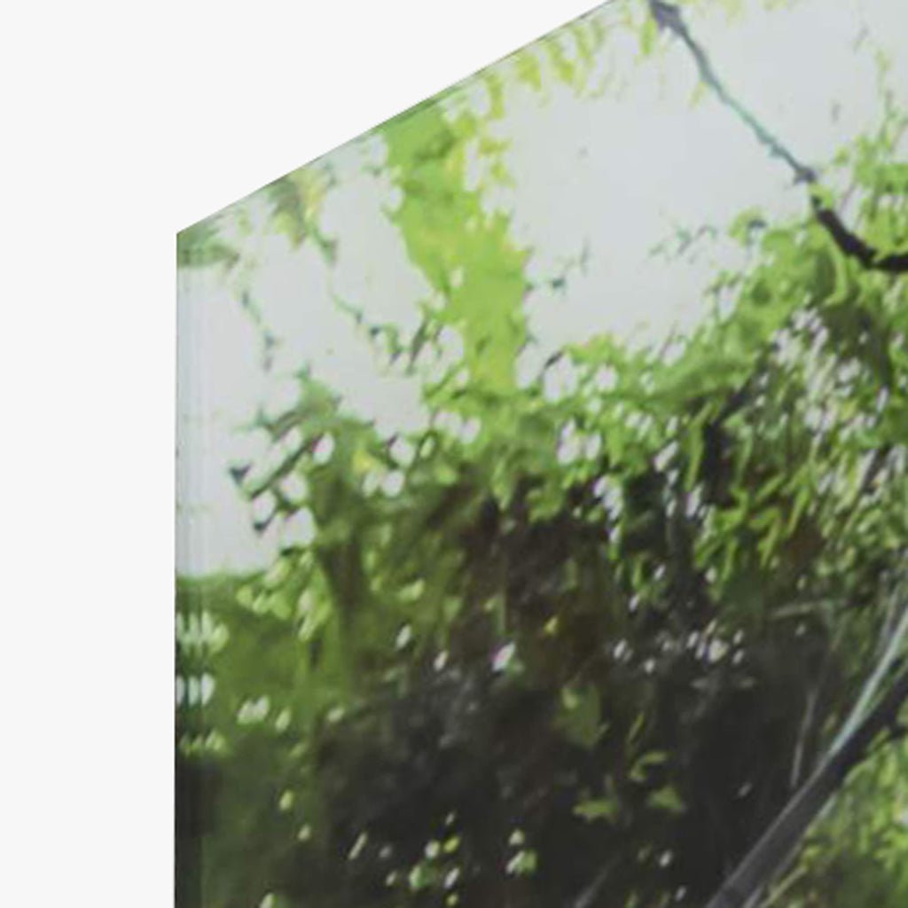 Quadro Vidro Floresta 150x100 - Gato Preto