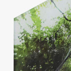 Quadro Vidro Floresta 150x100 - Gato Preto