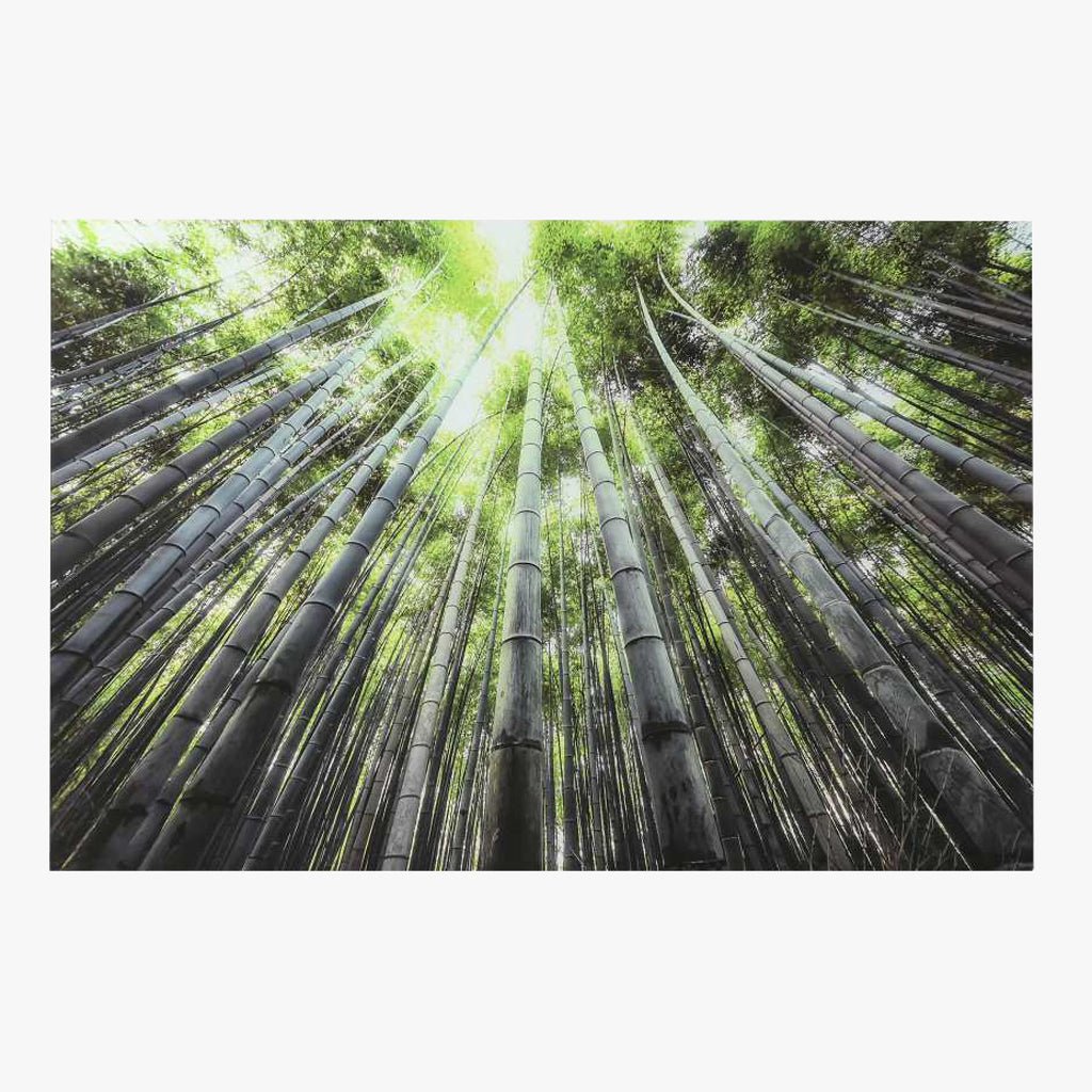 Quadro Vidro Floresta 150x100 - Gato Preto