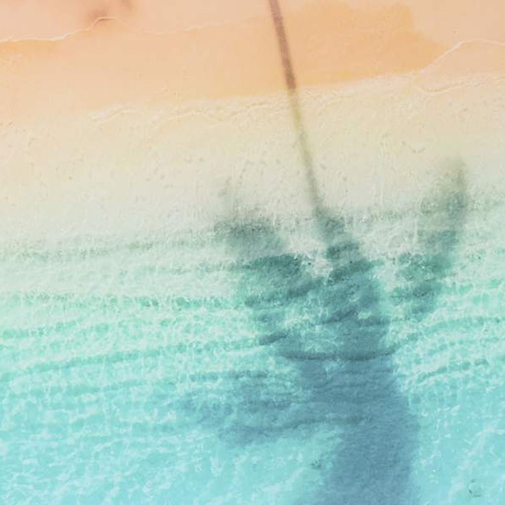 Quadro Vidro Palmeiras 150x100 - Gato Preto