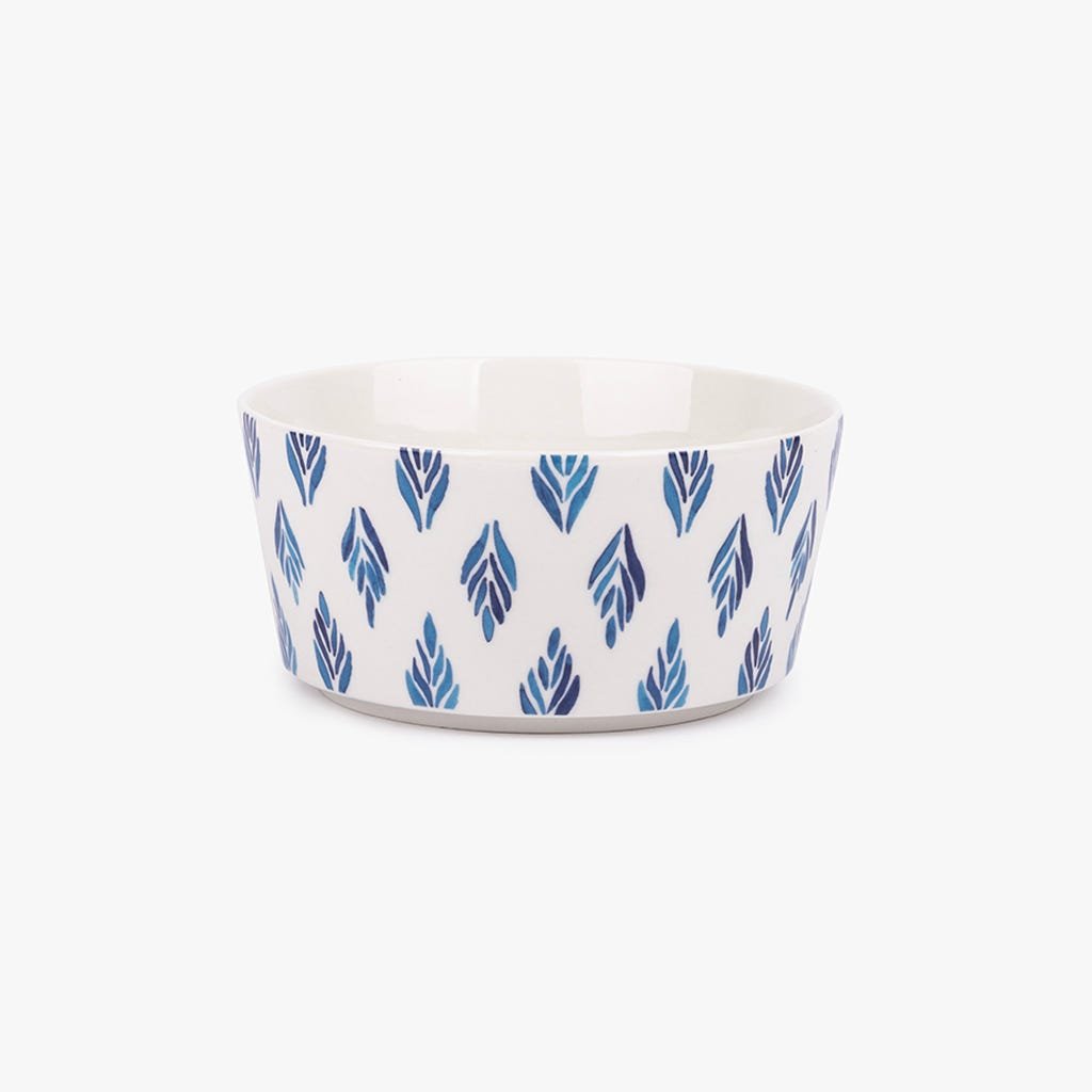 Tijela BLUE BIRD - Gato Preto