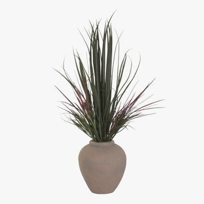Vaso Dracaena 70x70x125 - Gato Preto