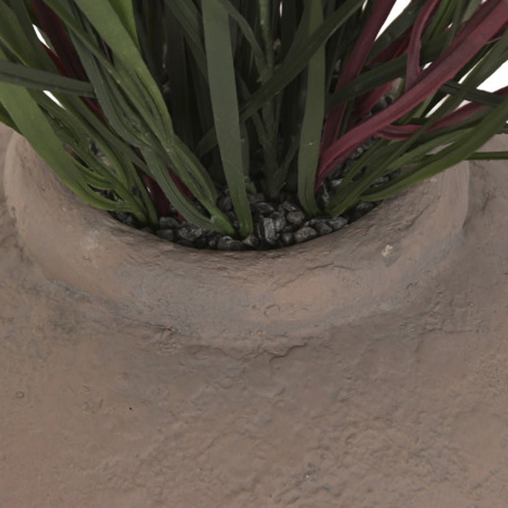Vaso Dracaena 70x70x125 - Gato Preto