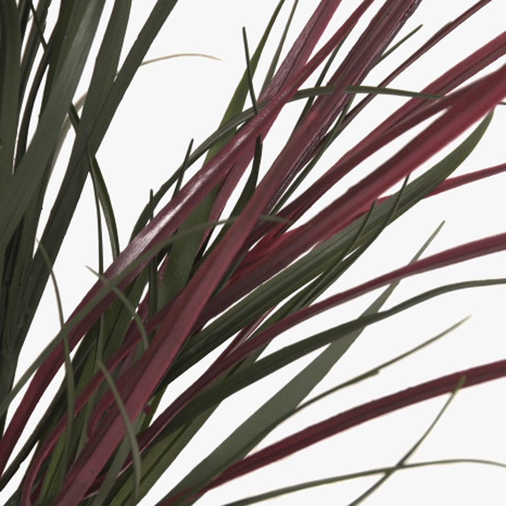 Vaso Dracaena 70x70x125 - Gato Preto