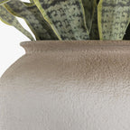 Vaso Sansevieria 60x60x100 - Gato Preto