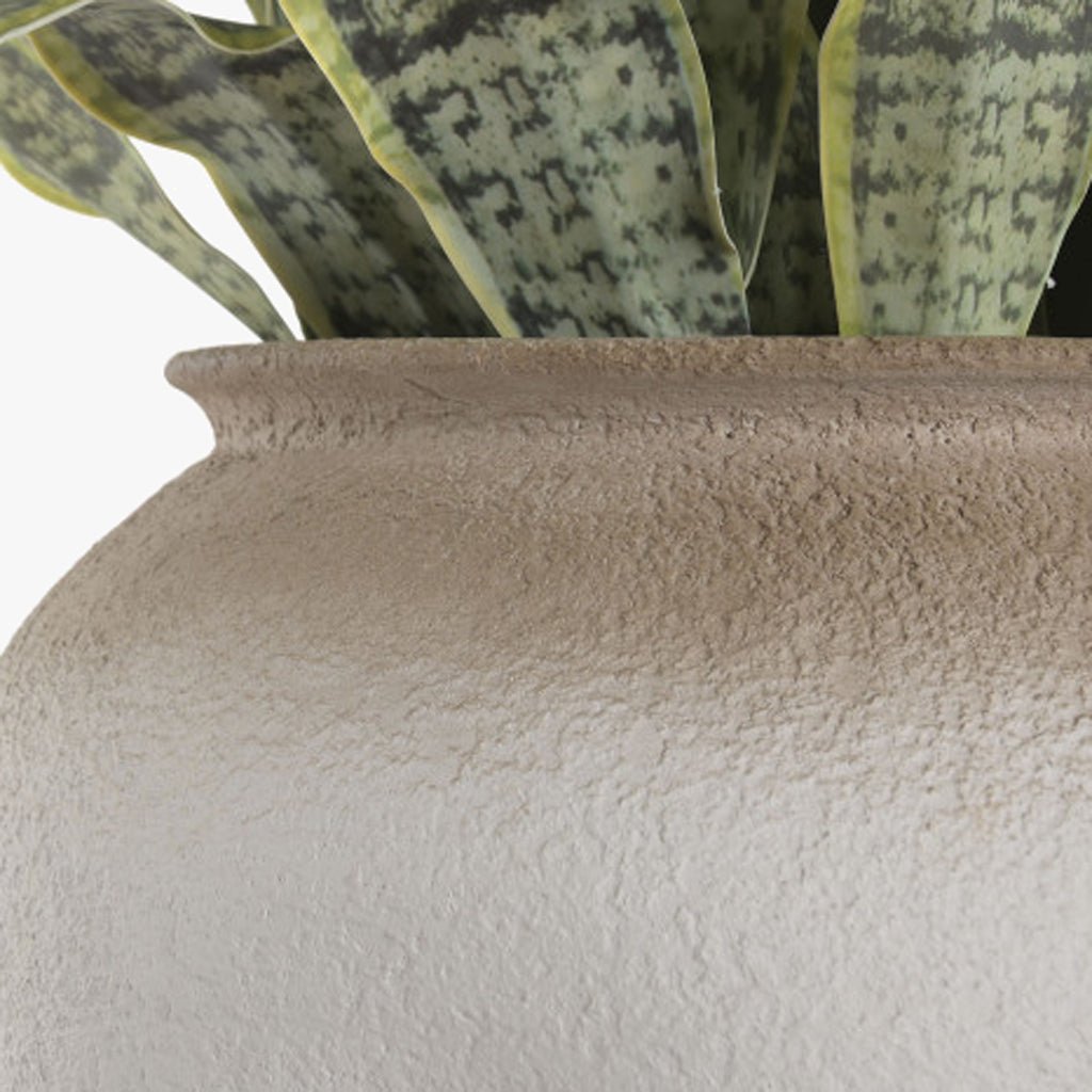 Vaso Sansevieria 60x60x100 - Gato Preto